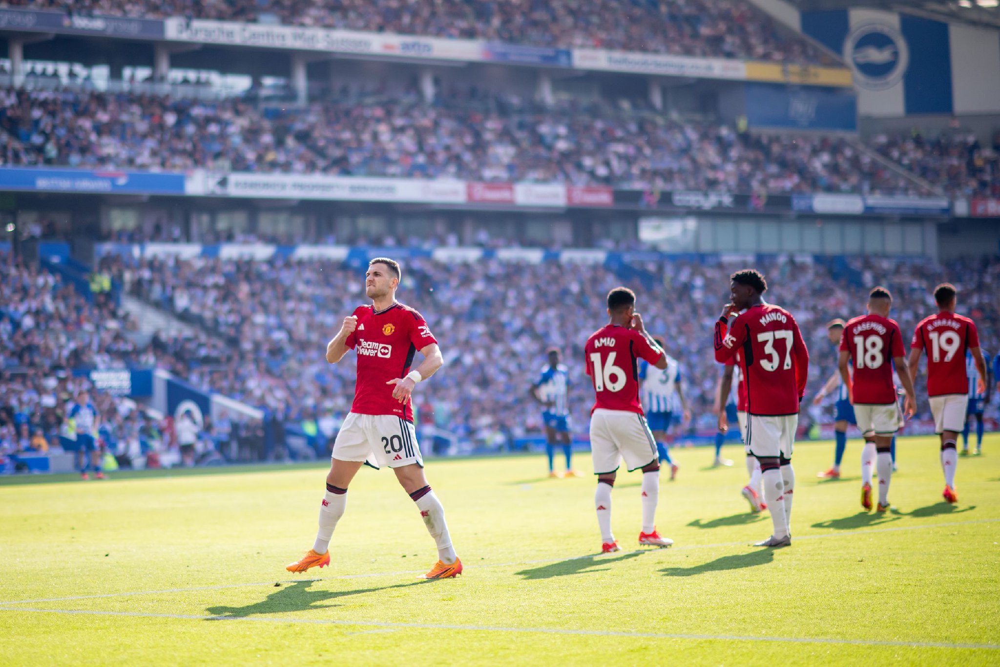 需要的不仅 需要的不仅